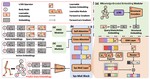 WestWorld: A Knowledge-Encoded Scalable Trajectory World Model for Diverse Robotics